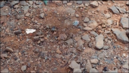 Maana Ke Hum Yaar Nahi - 4th February 2026